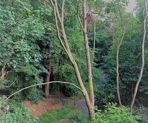 Alum Chine log cabin Bournemouth United Kingdom