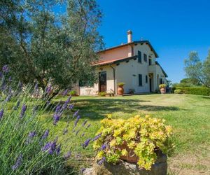 Le Macine 183S Cecina Italy