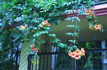صورة الفندق 17