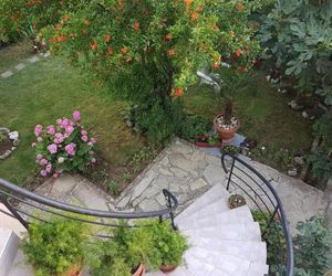 Guest House Veselina Primorsko Bulgaria