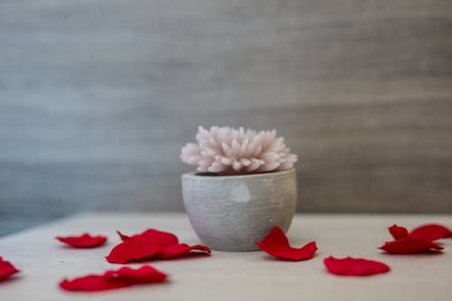 صورة الفندق 18