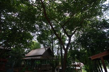 صورة الفندق 15