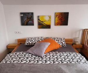 Apartmaji Daniel Kranjska Gora Slovenia