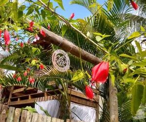 Casa Marcela Sirinhaem Brazil