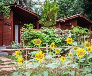 Mandrem Village Resort Mandrem India