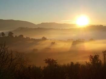 صورة الفندق 8