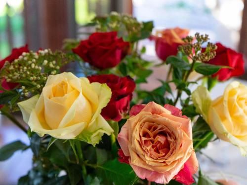 صورة الفندق 4