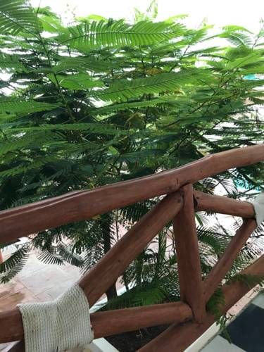 酒店图片 17