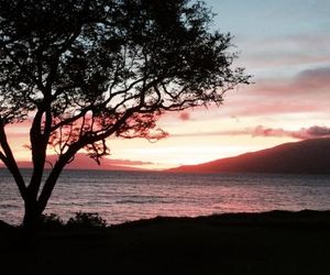 Aloha AKU - Honu 2 Kihei United States
