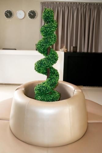 صورة الفندق 7