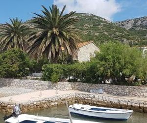 Apartments by the sea Viganj (Peljesac) - 12564 Kucisce Croatia