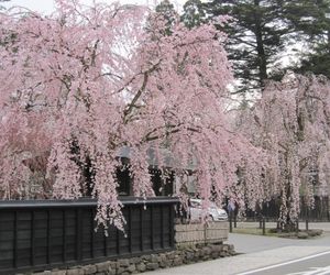 Kawaguchi Onsen Ousanso Jokote Japan