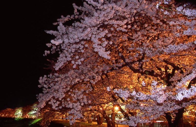 Kawaguchi Onsen Ousanso