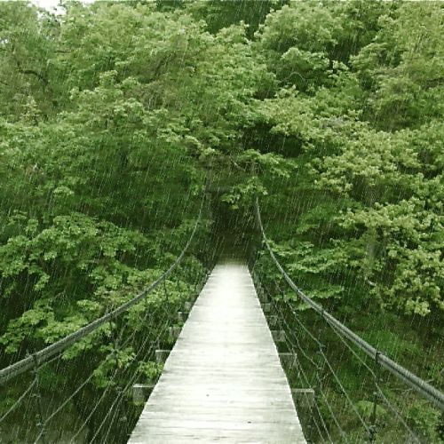 صورة الفندق 5