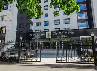 Отель Белое дерево