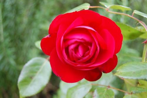 صورة الفندق 6