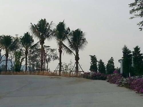 صورة الفندق 22