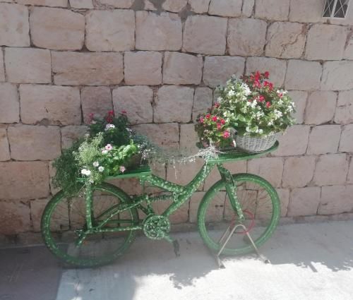 صورة الفندق 3
