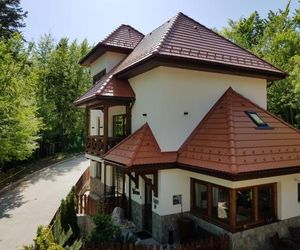 Alfinio Villa Sinaia Romania