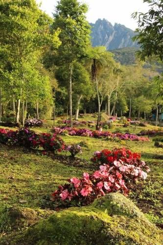 صورة الفندق 8
