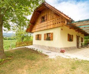 Country House Srček with Two Bedrooms and Vineyard View Bizeljsko Slovenia