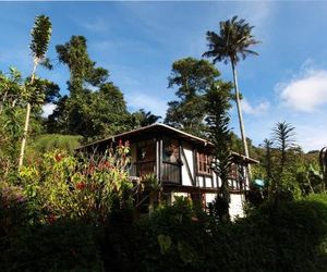 Claro de Luna Salento Colombia