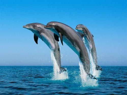 صورة الفندق 14