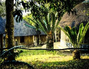 Modjadji Camp Phalaborwa South Africa