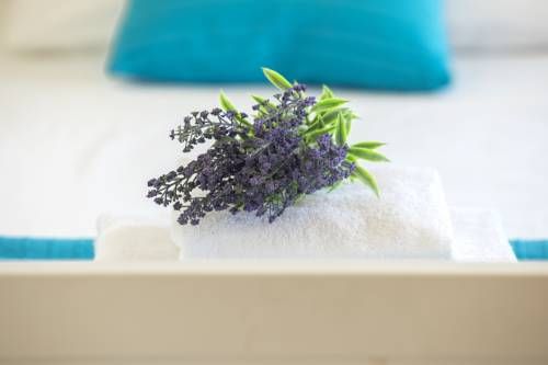 صورة الفندق 5