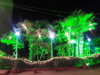 صورة الفندق 17