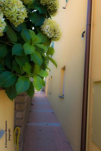صورة الفندق 19