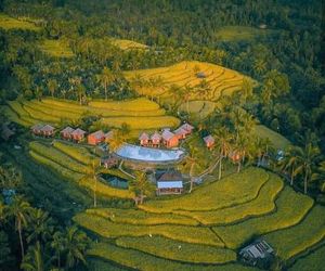 Puri Sunny Camp Munduk Indonesia