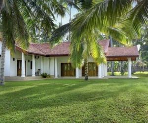 Coco Villa Peach Tree Katunayaka Sri Lanka