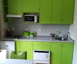 Apartman Ales Lipno nad Vltavou Czech Republic