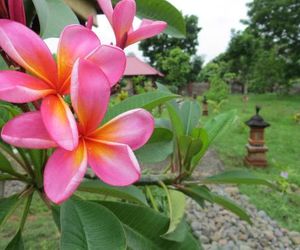 TEGAL SARI, Pemuteran- North Bali Pemuteran Indonesia