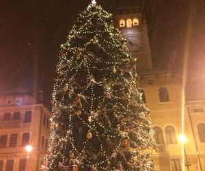Fiocco di neve Asiago Italy