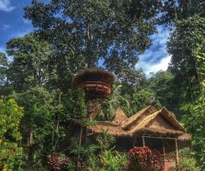 Oasis Koh Chang Chang Island Thailand