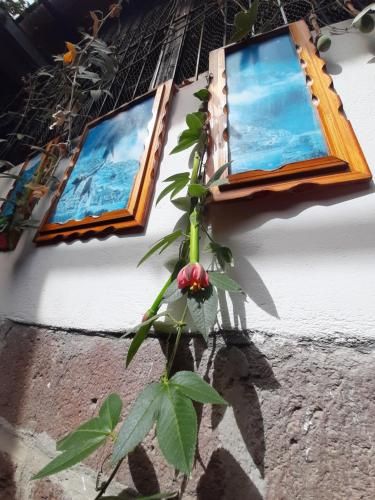 صورة الفندق 9
