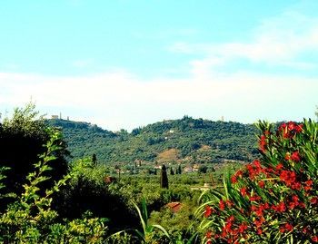 Zakynthos Traditional Villa