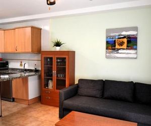 Apartment Playa las Vistas Playa de las Americas Spain