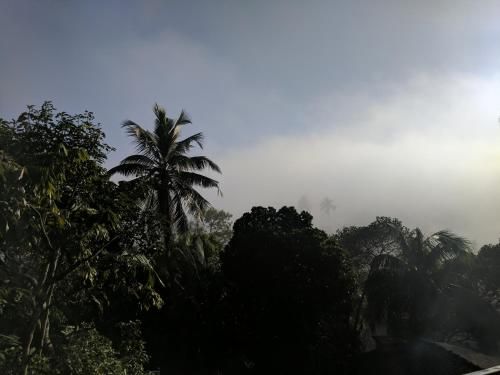 صورة الفندق 17