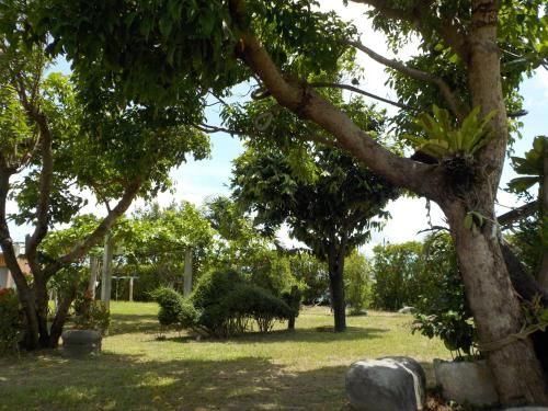 صورة الفندق 7