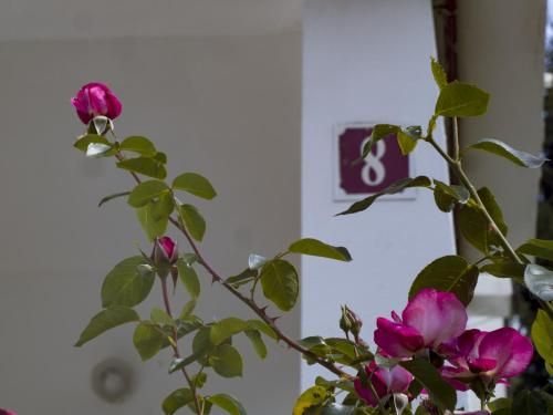 صورة الفندق 15