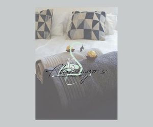 13 Flamingos Accommodation Swakopmund Namibia
