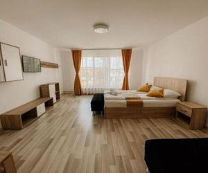 Paula Apartment Oradea Romania