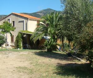 STILLARIA Ajaccio France