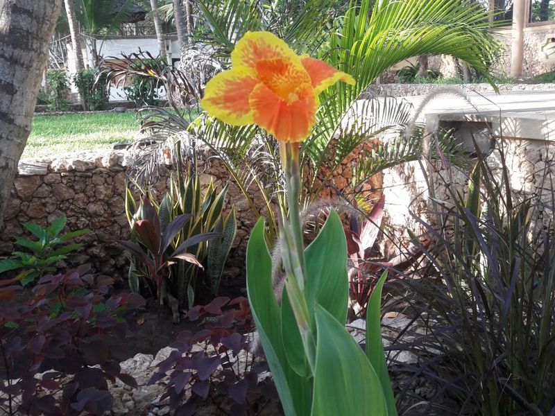 صورة الفندق 20