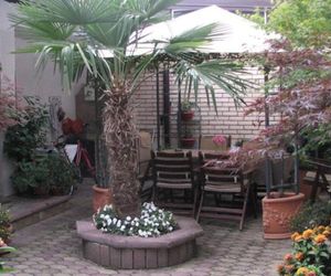 Flower House Apartment Ohrid Macedonia