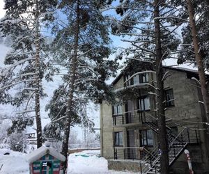 Guesthouse DoMMelianovykh Terskol Russia