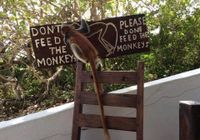 Отзывы Red Monkey Beach Lodge